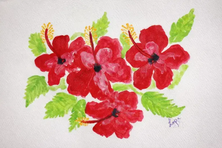 Hibiscus Artwork